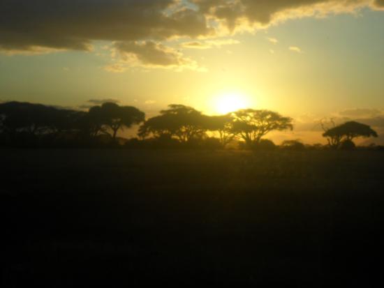 Urban Life Sunset Pedestrian Crossing 